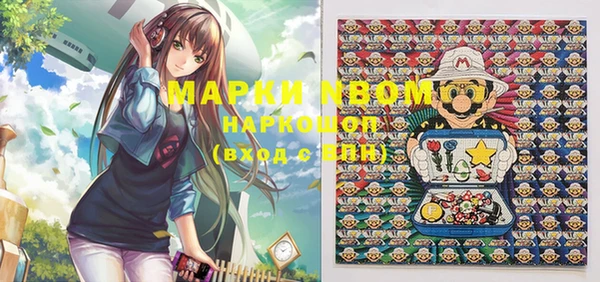 гашик Козельск